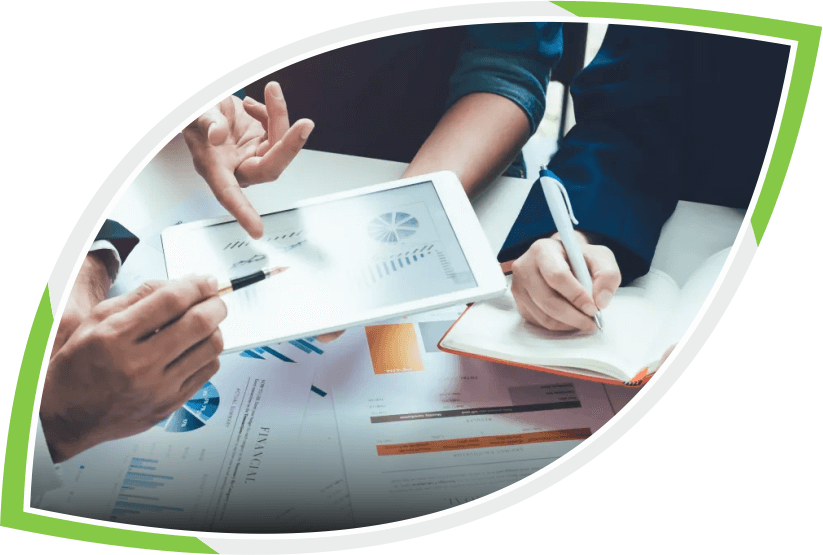 LMP Consultancy Program